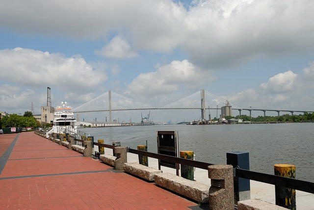 Georgia Day – Exploring the Peach State with Your Canine Companion - River Street in Savannah, GA